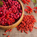 Ningxia Wholesale Dried bulk Wild Goji Berry